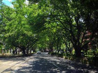 /album/fotogaleria/calles-verdes-de-envigado-jpg/